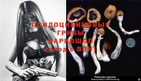 спайс Алзамай