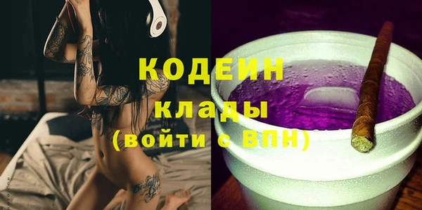 молекула духа Алексин